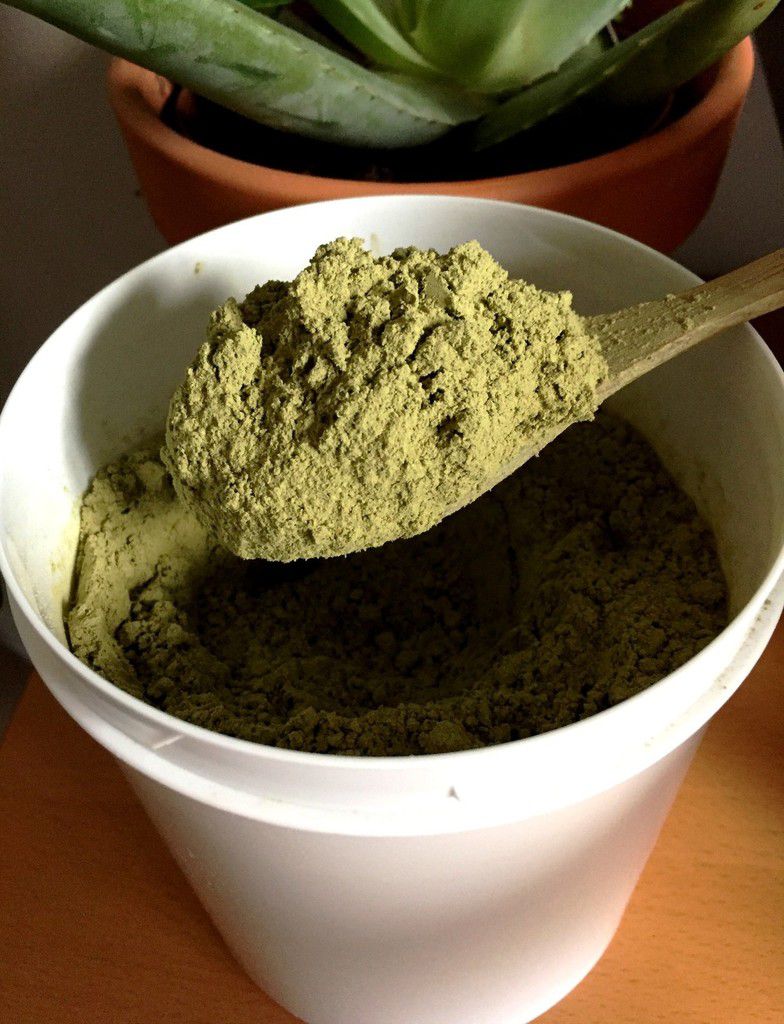 Shampoing Végétal Bio -250g